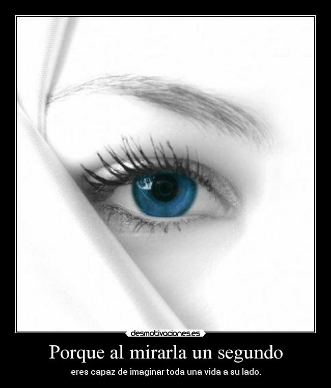 carteles whololooooo desmotivaciones