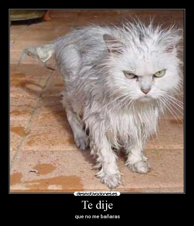 Te dije - que no me bañaras