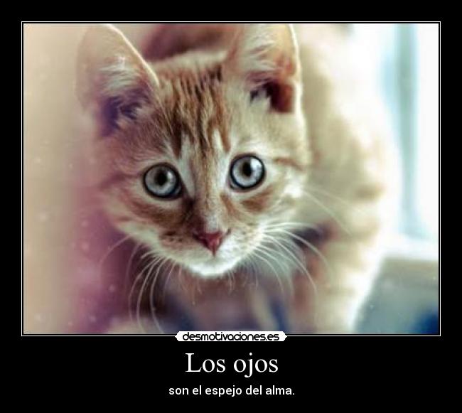 Los ojos - 