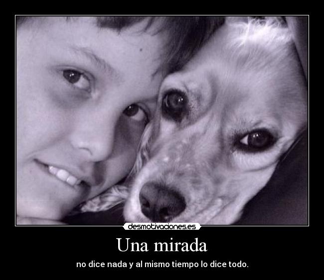 Una mirada - no dice nada y al mismo tiempo lo dice todo.