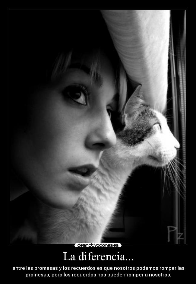 La diferencia... Desmotivaciones