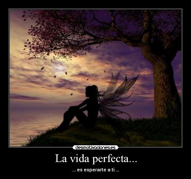 La vida perfecta... - 