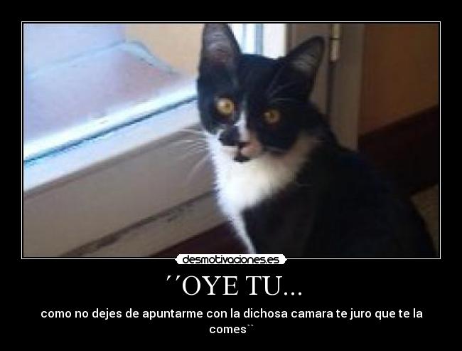 ´´OYE TU... - como no dejes de apuntarme con la dichosa camara te juro que te la comes``