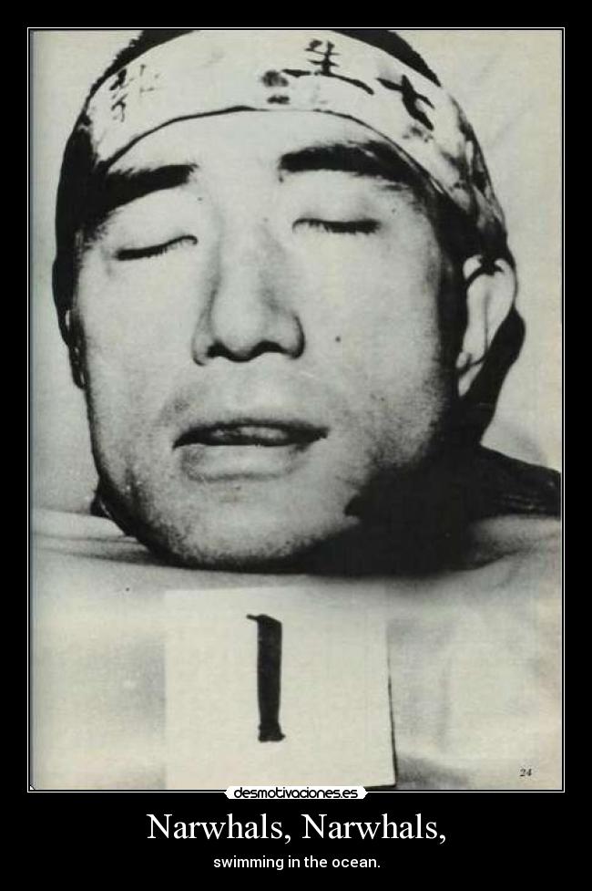 Narwhals, Narwhals, -