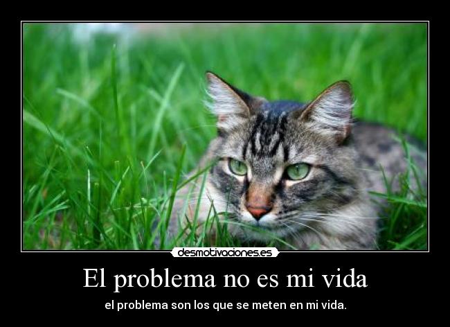 El problema no es mi vida - el problema son los que se meten en mi vida.