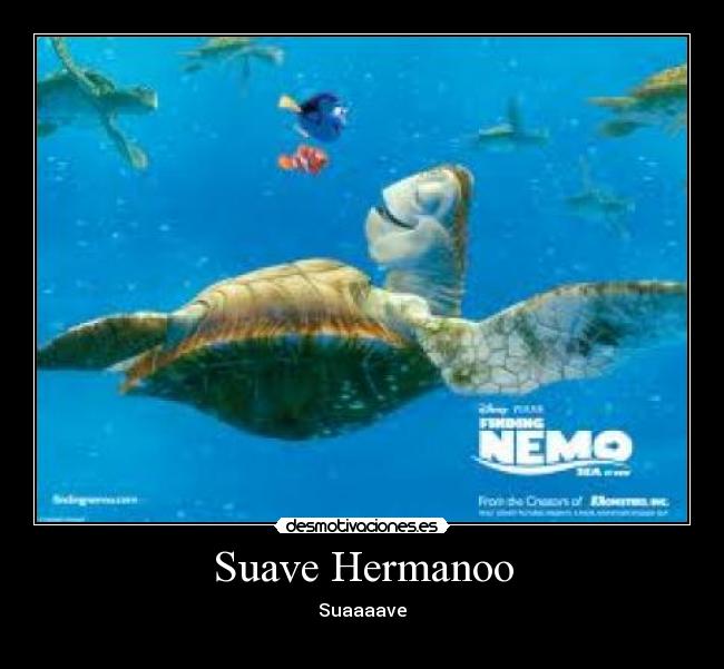 Suave Hermanoo - Suaaaave
