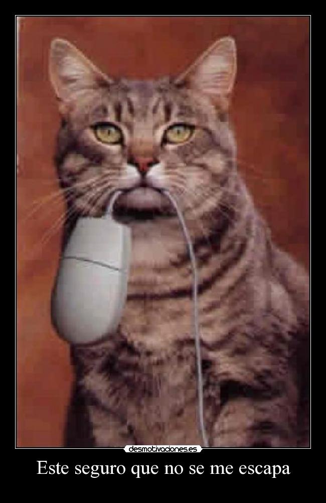 Este seguro que no se me escapa -