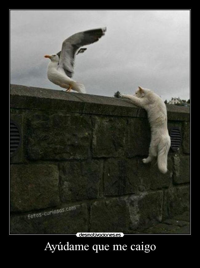 Ayúdame que me caigo - 