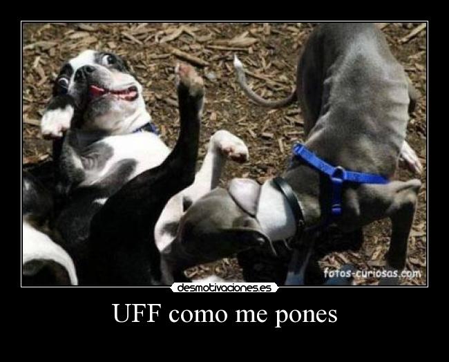 UFF como me pones -