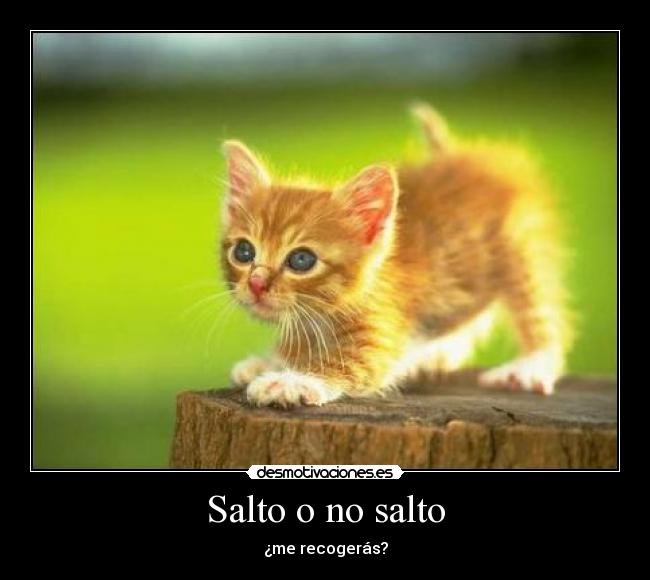 Salto o no salto -