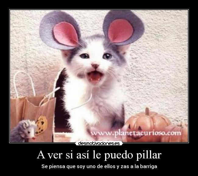 A ver si así le puedo pillar - 