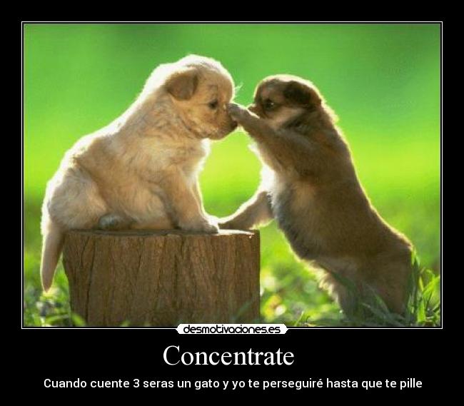 carteles ewef desmotivaciones