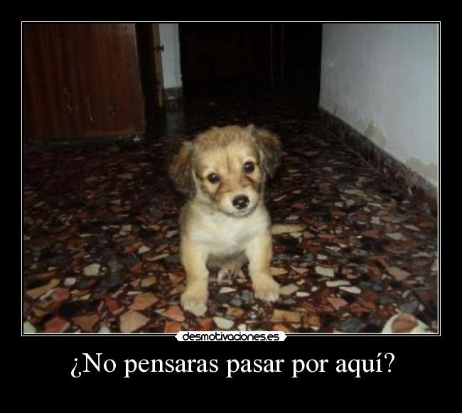 ¿No pensaras pasar por aquí? -