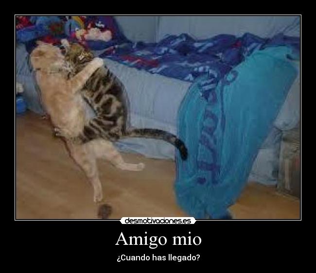 Amigo mio - 