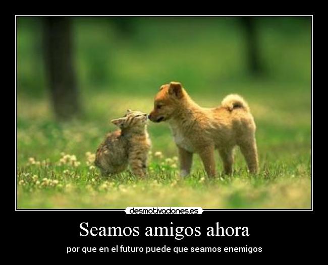 carteles amigos desmotivaciones