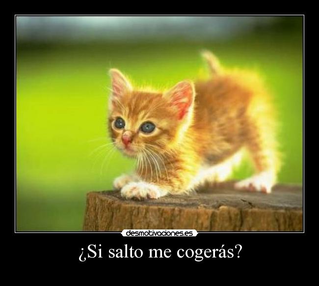 ¿Si salto me cogerás? -