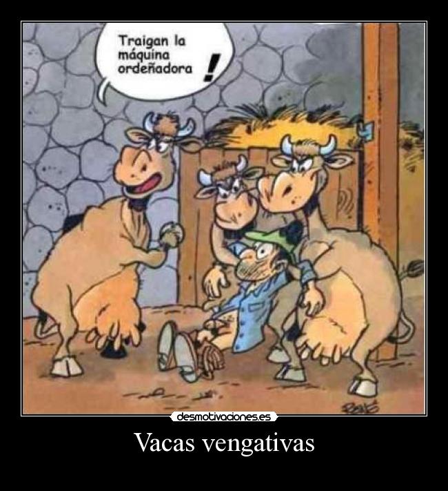 Vacas vengativas -