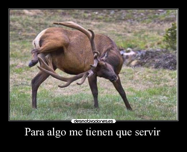 carteles papa desmotivaciones