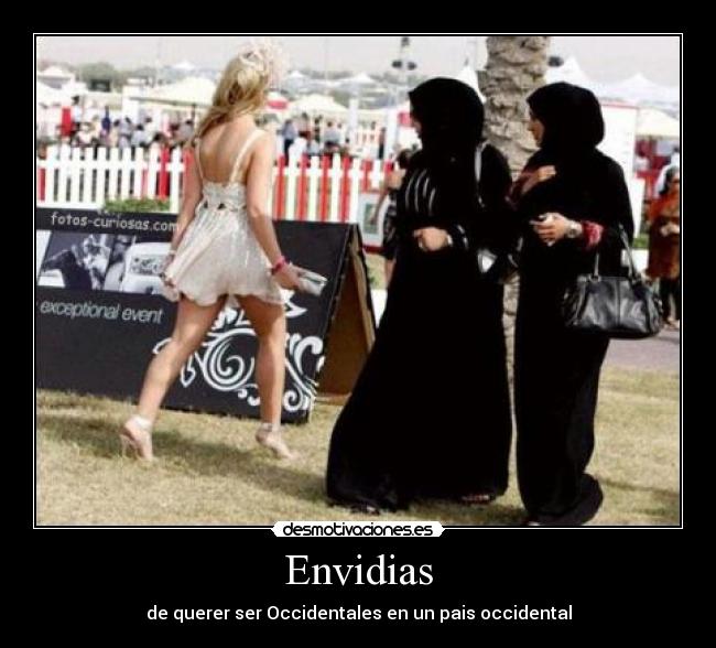 carteles dsdsds desmotivaciones