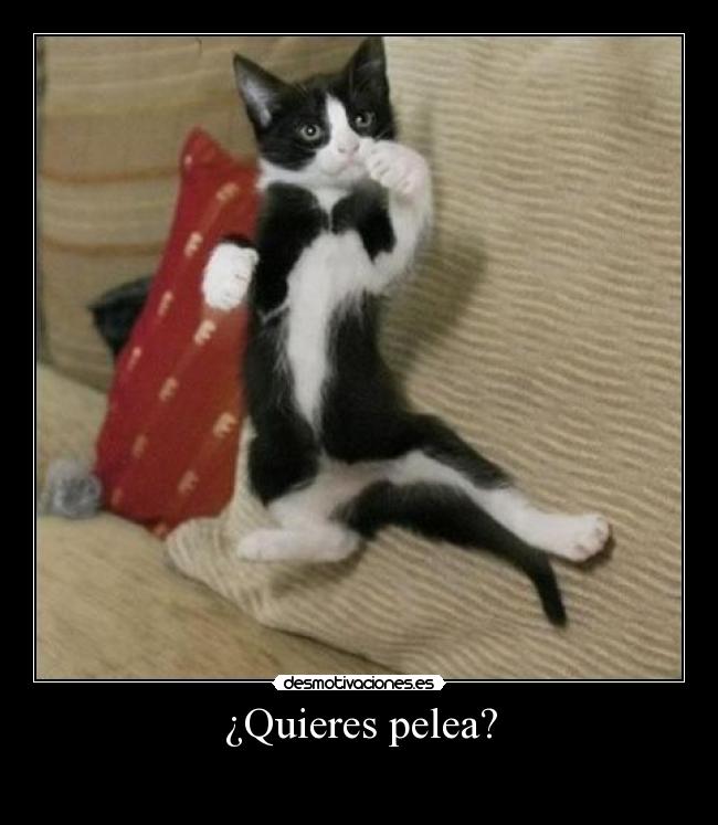¿Quieres pelea? -