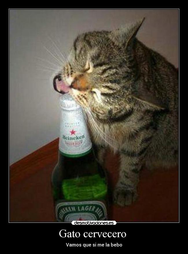 carteles fdvg desmotivaciones