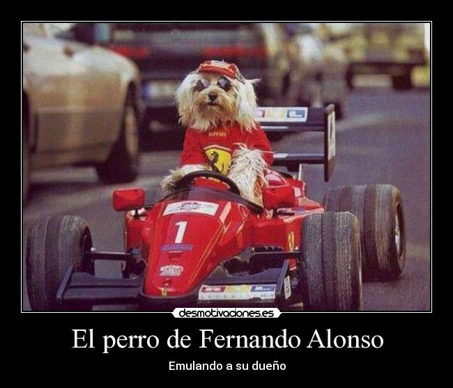 El perro de Fernando Alonso -