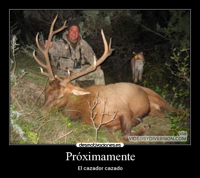 Próximamente - El cazador cazado