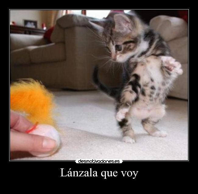 carteles hgygfd desmotivaciones