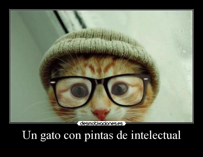 carteles desmotivaciones