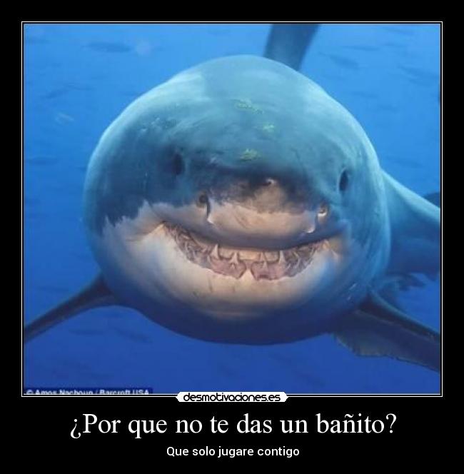¿Por que no te das un bañito? - Que solo jugare contigo
