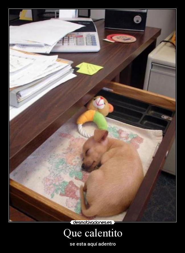 Que calentito -