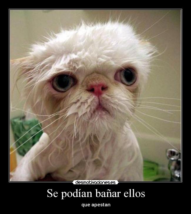 Se podían bañar ellos - 