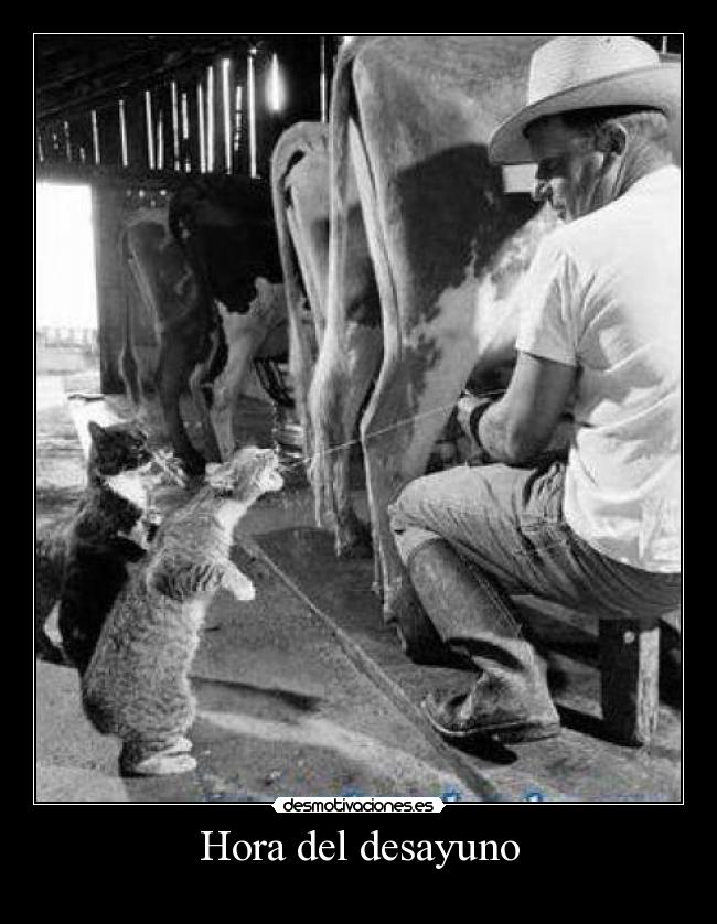 Hora del desayuno - 