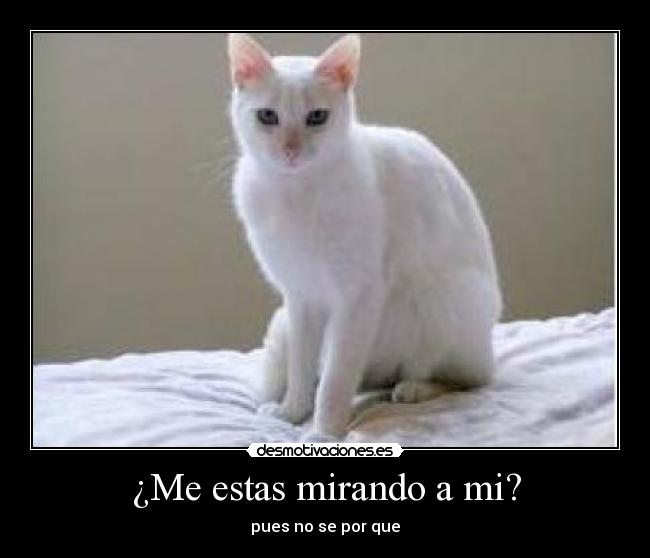 carteles sssa desmotivaciones