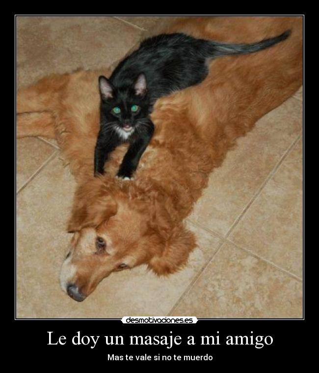 Le doy un masaje a mi amigo -