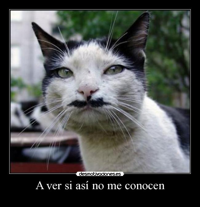 A ver si así no me conocen -