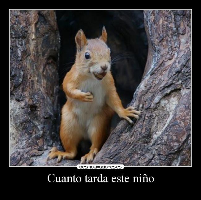 Cuanto tarda este niño -