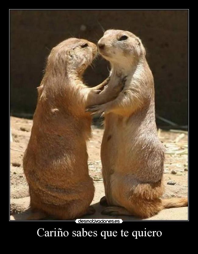 Cariño sabes que te quiero -