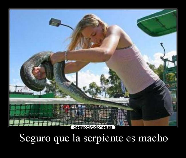 Seguro que la serpiente es macho -