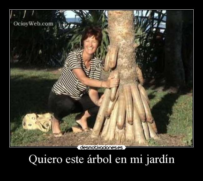 Quiero este árbol en mi jardín -