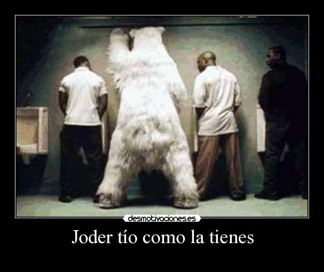 Joder tío como la tienes - 