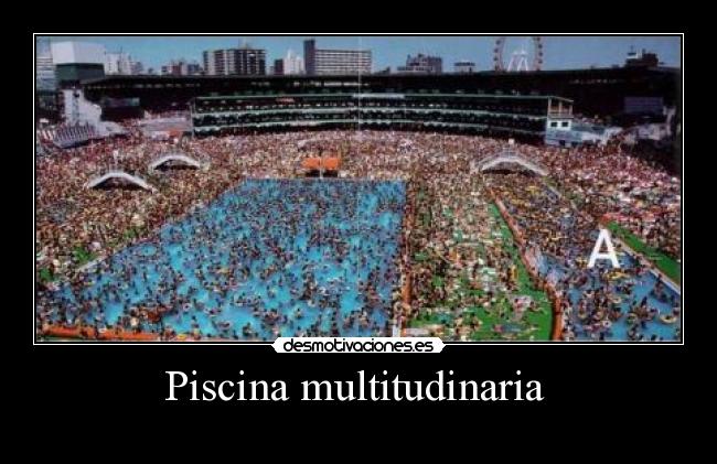 Piscina multitudinaria -