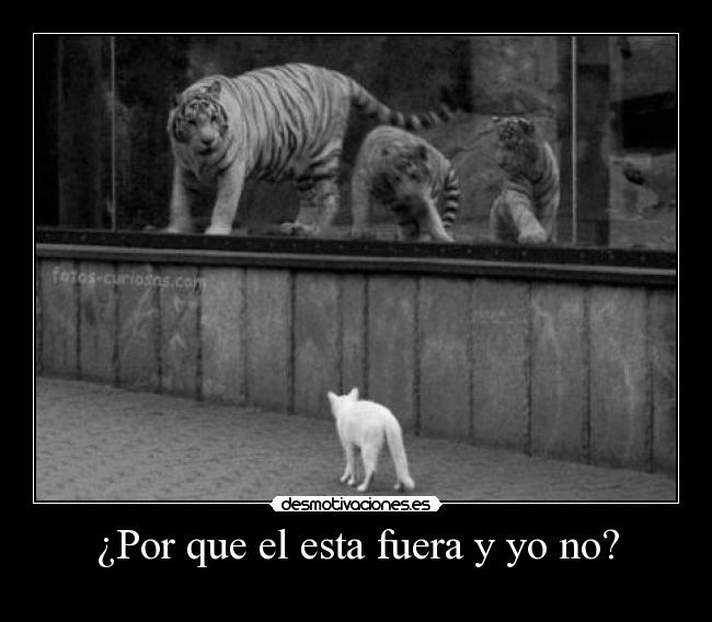 ¿Por que el esta fuera y yo no? -