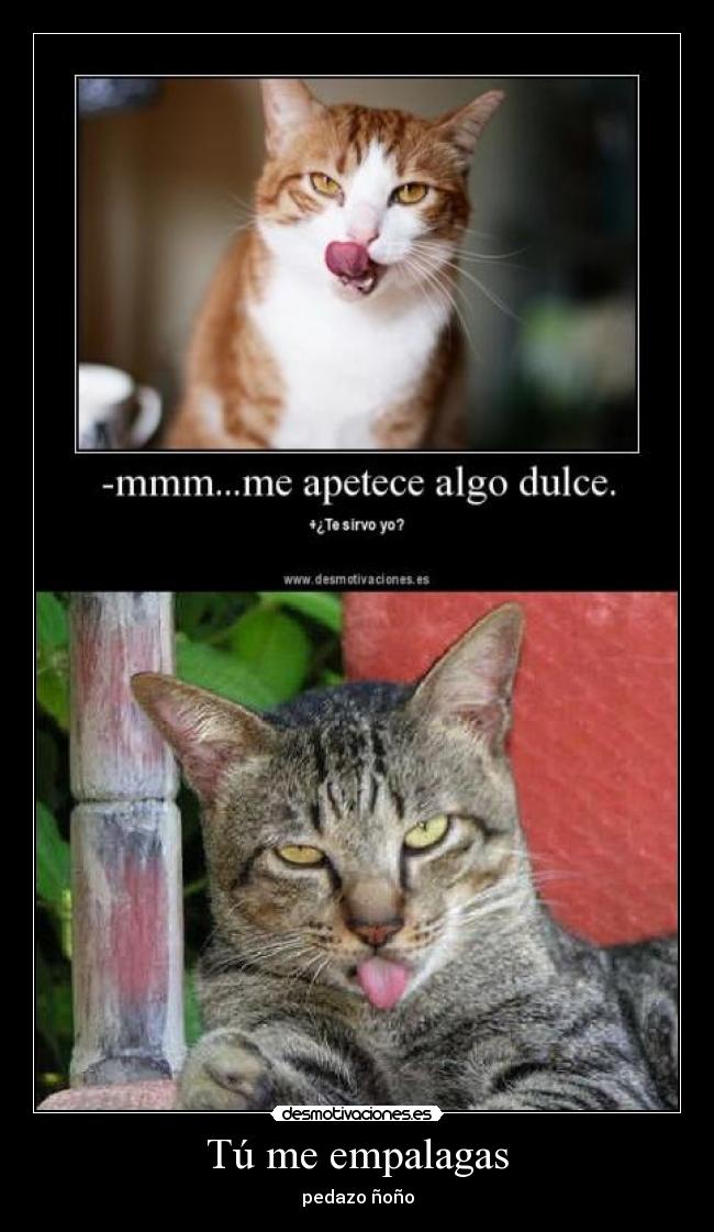 Tú me empalagas - pedazo ñoño