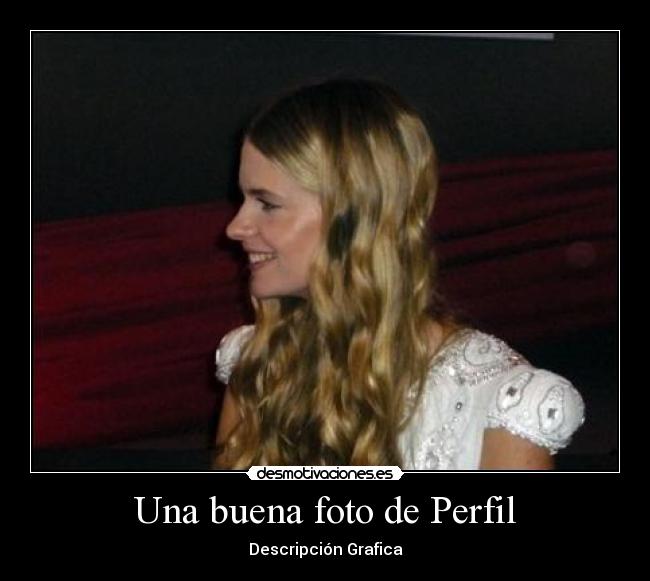 carteles perfil desmotivaciones