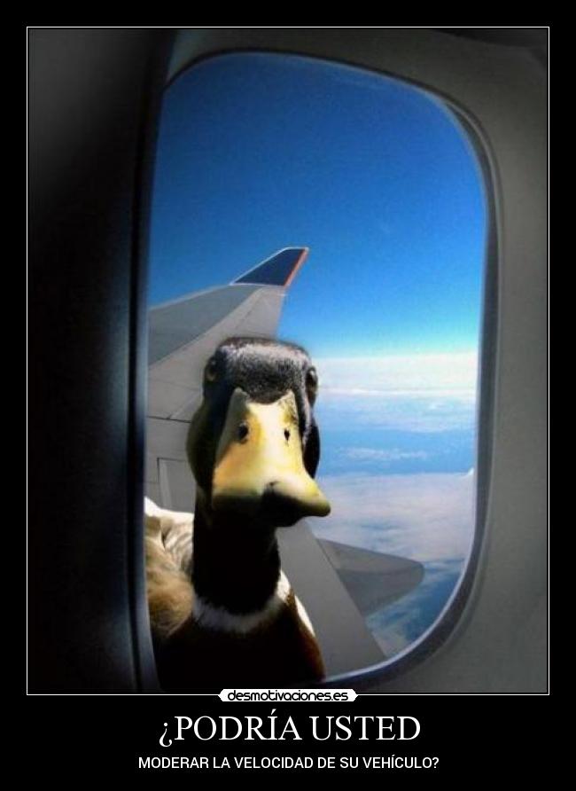 ¿PODRÍA USTED - MODERAR LA VELOCIDAD DE SU VEHÍCULO?
