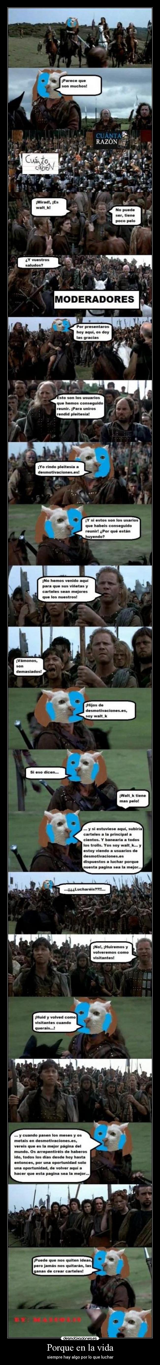 Porque en la vida - siempre hay algo por lo que luchar