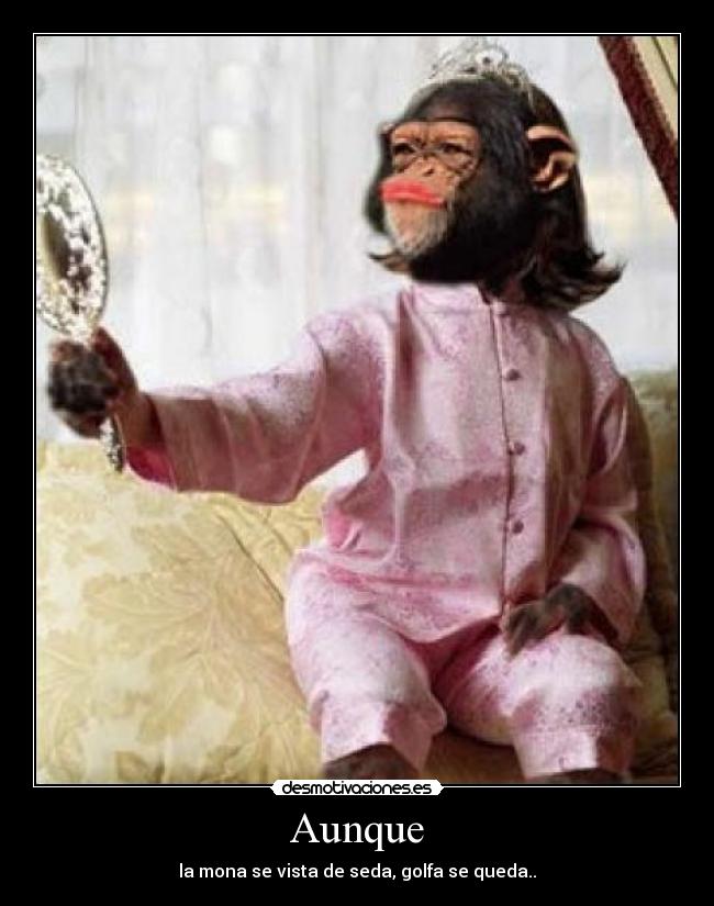 Aunque - la mona se vista de seda, golfa se queda..