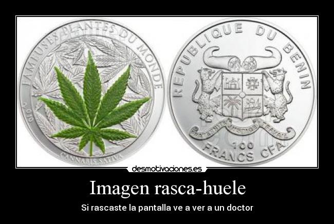 Imagen rasca-huele -