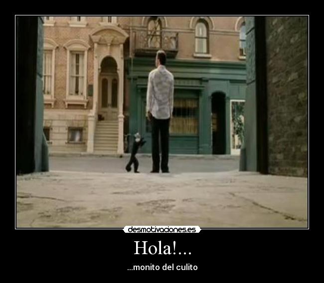 Hola!... - ...monito del culito